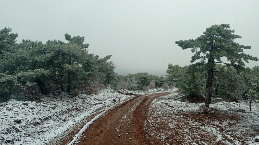 Beyaz Örtüyle Kaplanan Mahallede Kartpostallık Görüntüler Oluştu