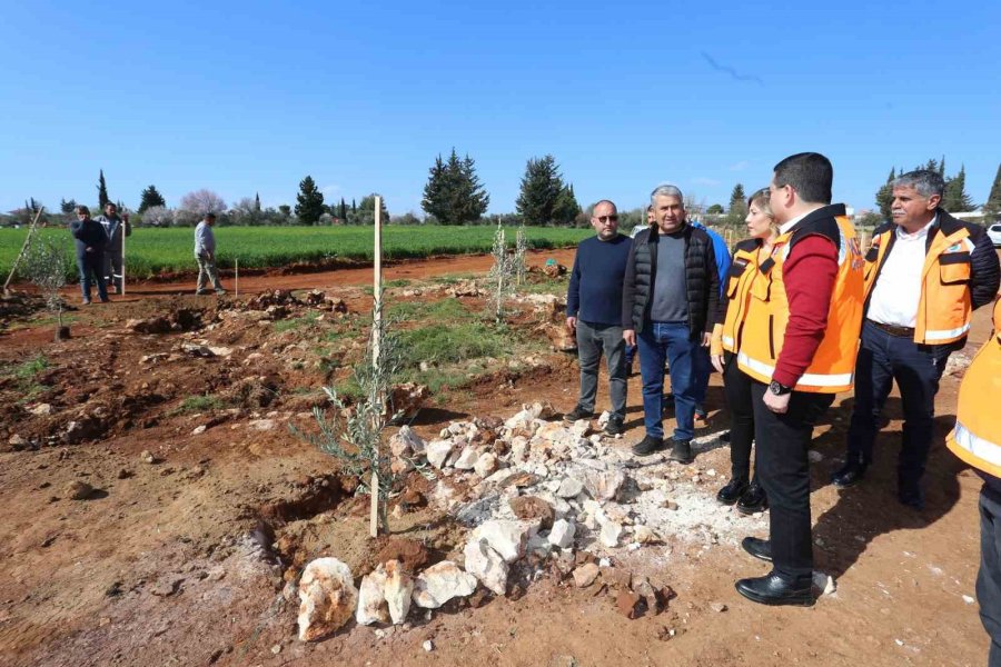 Tütüncü: “zeytin, Gelecek Demek”