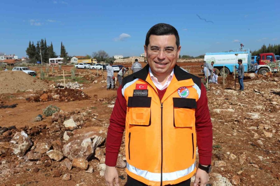 Tütüncü: “zeytin, Gelecek Demek”