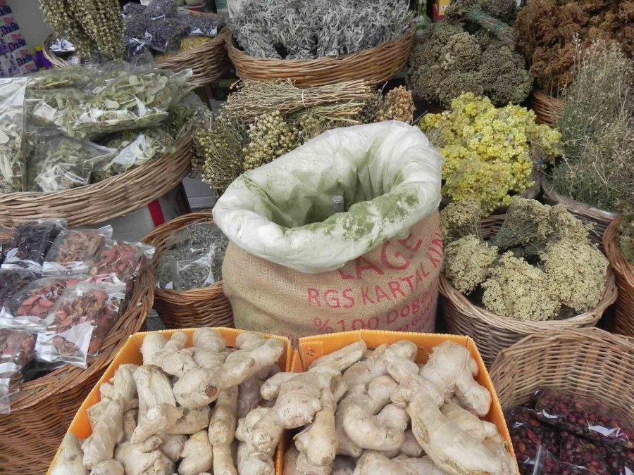 Kış Aylarında Hastaların Şifa Kaynağı Çam Kozalağı