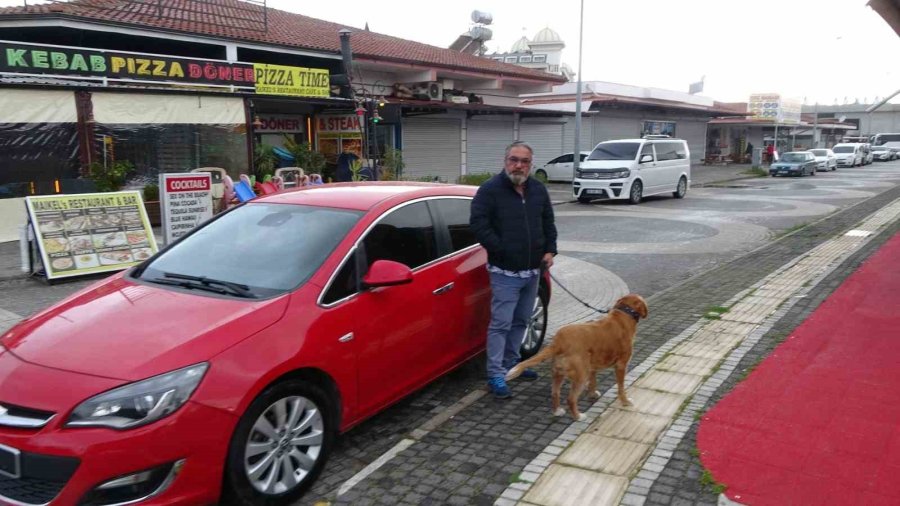 Antalya’da Alman Vatandaşı Bu Kez De Köpekle Birlikte Otomobili Çaldı
