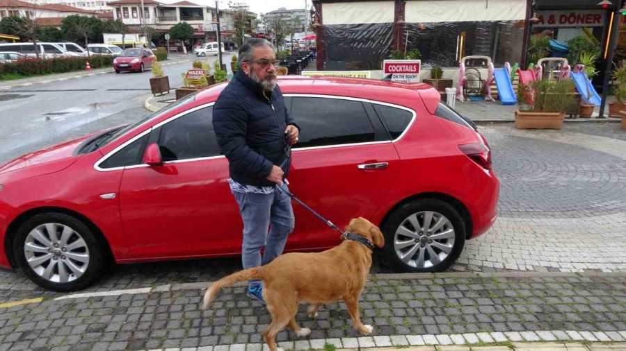 Antalya’da Alman Vatandaşı Bu Kez De Köpekle Birlikte Otomobili Çaldı