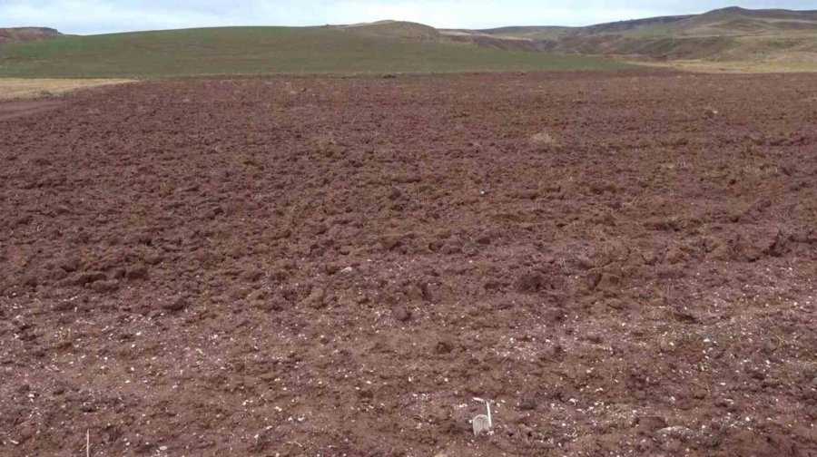 Aksaray’daki Yağmur Yağışı Üreticilerin Yüzünü Güldürdü