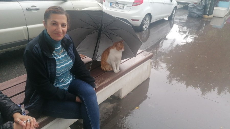 Yağmurda Islanmasın Diye Şemsiyesini Kedinin Üzerine Açıp Gitti
