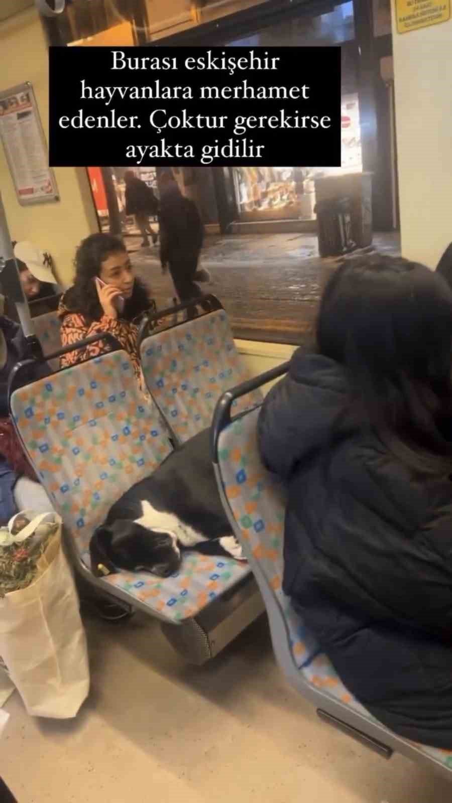 Bu Duyarlı Davranış Vatandaşlardan Alkış Aldı