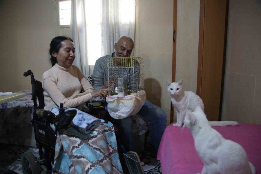 Ev Sahibi Evi Satışa Çıkardı, Depremzede Aile Çaresiz Kaldı
