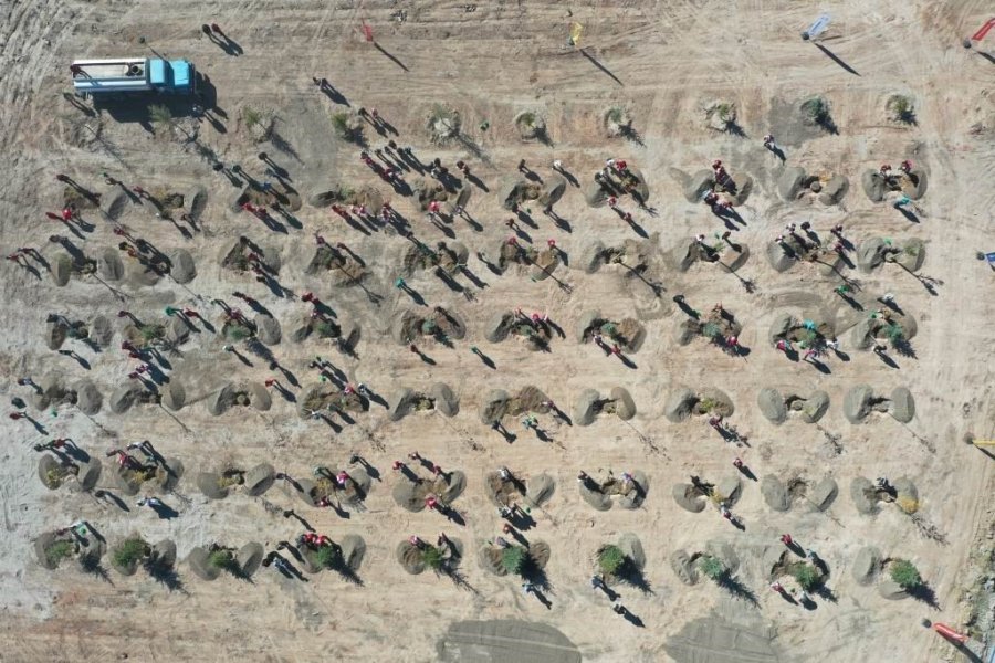 Çevre Dostu Kocasinan, Yeşil Hamle İle Geleceğe Nefes Oluyor