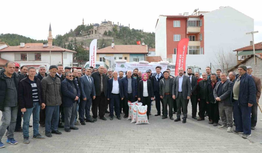 Seyitgazi Üreticisi Yüzde 50 Hibe Destekli Yerli Ve Milli Azkan Çeşidi Tohumlarına Kavuştu