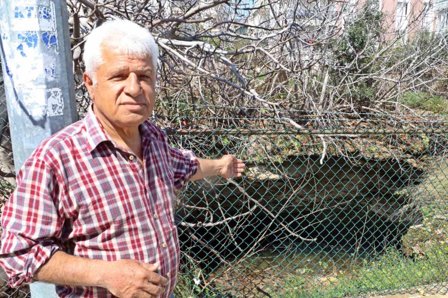 Antalya’nın Göbeğinde 35 Metre Derinlikteki Obrukta Çok Sayıda Tatlı Su Canlısı Tespit Edildi