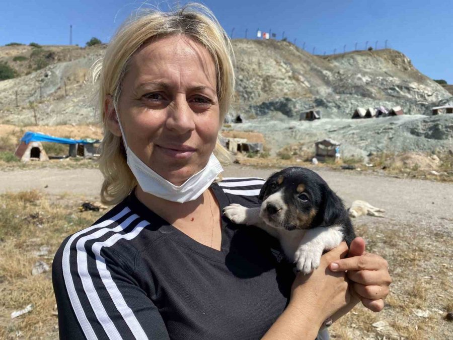 Hayvansever Kadının Çenesini Kıran Sanığa 7 Bin 500 Tl Adli Para Cezası