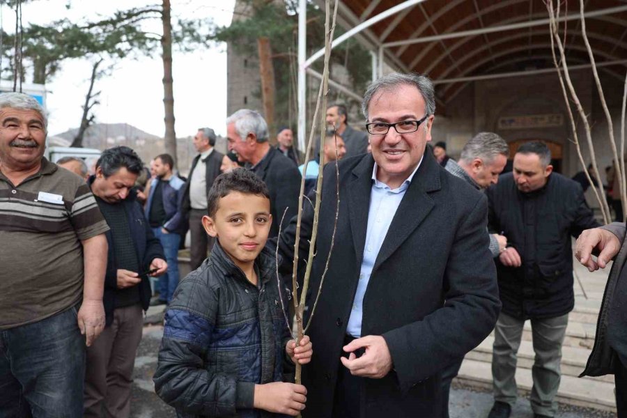 Fidan Belediyeden Meyve Vatandaştan