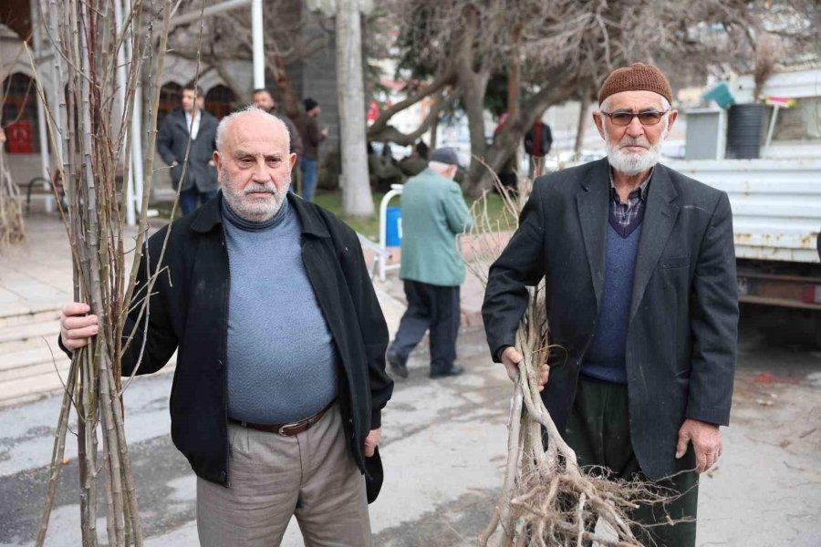 Fidan Belediyeden Meyve Vatandaştan