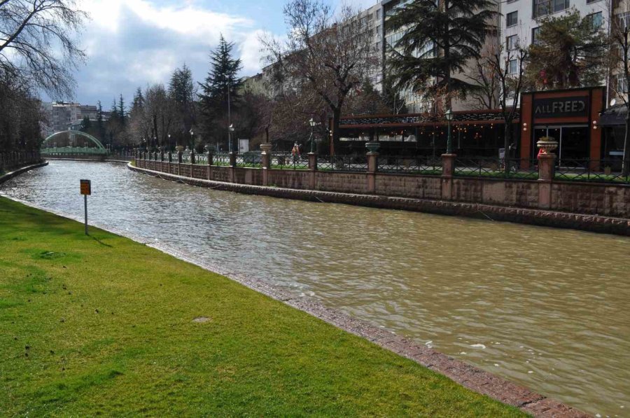 Porsuk Kahverengiye Büründü