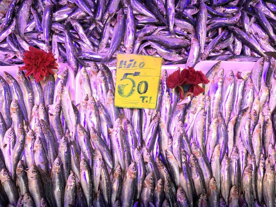 Eskişehir’de Balık Fiyatları