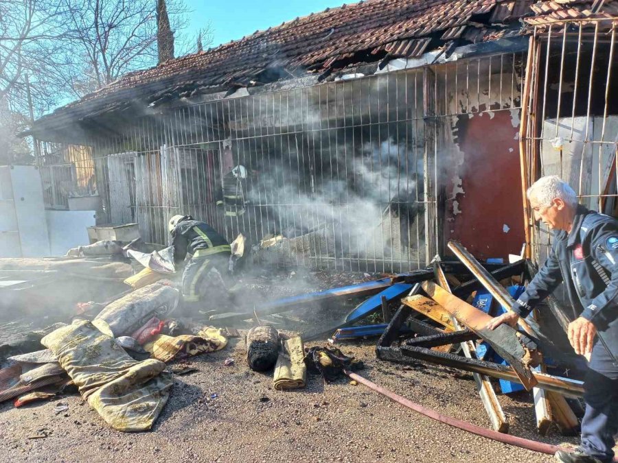 Müstakil Evde Çıkan Yangın Spot Eşyaları Küle Çevirdi