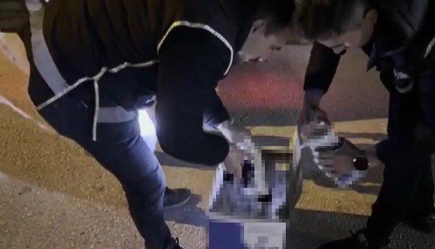 Dorsedeki Kutulardan 9 Milyon Adet Kaçak Makaron Çıktı