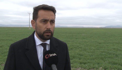 Tahıl Ambarı Konya Ovası’nda Yağışlarla Rekolte Beklentisi Arttı