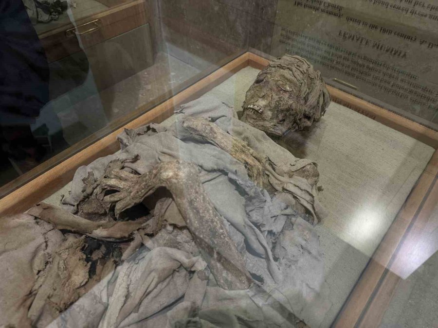 Bin Yıllık Mumyalar, Ziyaretçilerin İlgisini Çekiyor