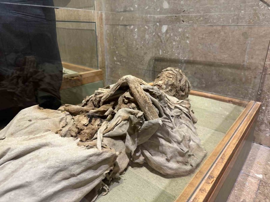 Bin Yıllık Mumyalar, Ziyaretçilerin İlgisini Çekiyor