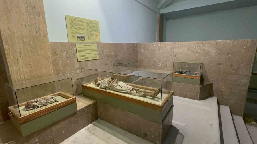 Bin Yıllık Mumyalar, Ziyaretçilerin İlgisini Çekiyor