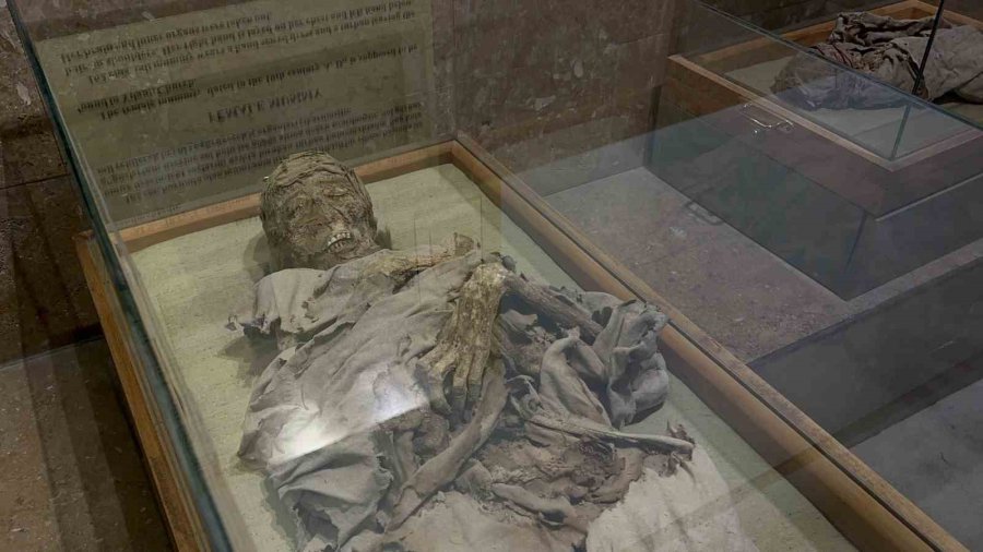 Bin Yıllık Mumyalar, Ziyaretçilerin İlgisini Çekiyor