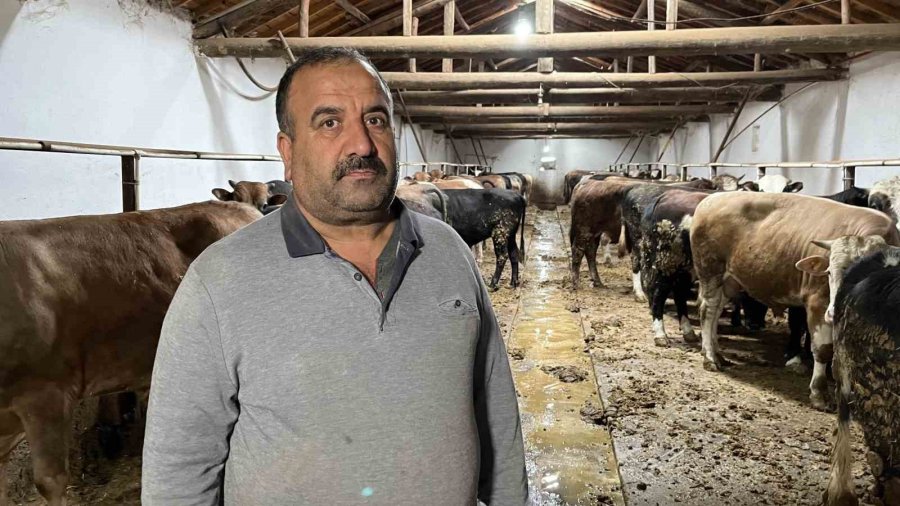 Şap Hastalığına Karşı Ekipler Sahada