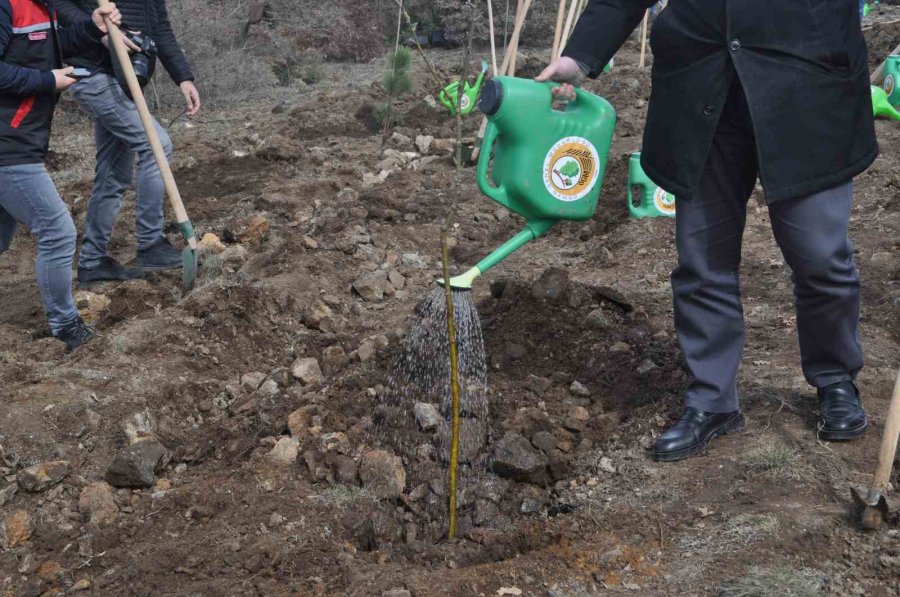 İnönü’de 2 Bin Fidan Dikilerek 6 Şubat Deprem Şehitleri Ormanı Oluşturuldu