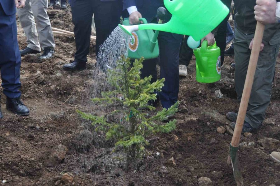 İnönü’de 2 Bin Fidan Dikilerek 6 Şubat Deprem Şehitleri Ormanı Oluşturuldu