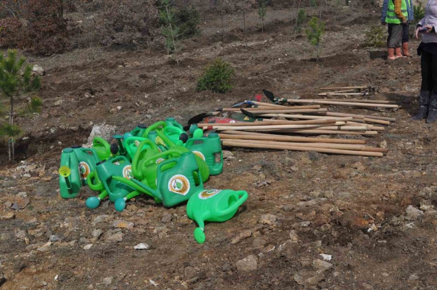 İnönü’de 2 Bin Fidan Dikilerek 6 Şubat Deprem Şehitleri Ormanı Oluşturuldu