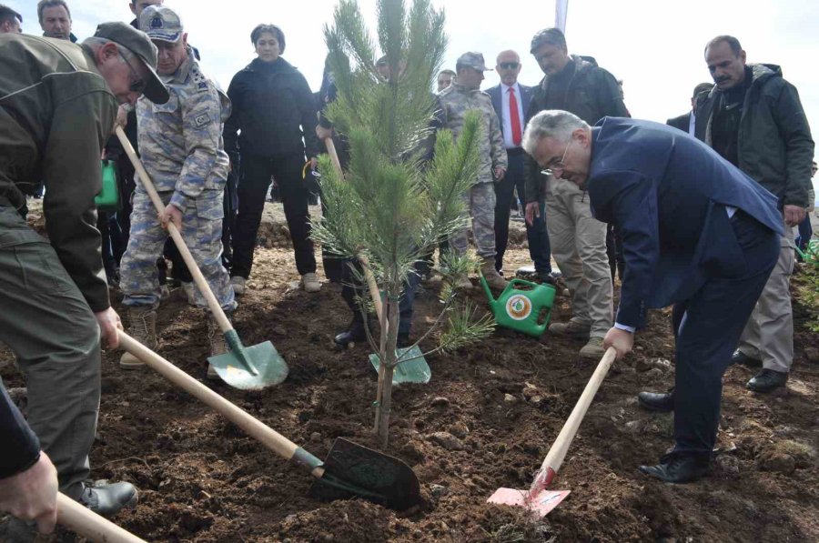 İnönü’de 2 Bin Fidan Dikilerek 6 Şubat Deprem Şehitleri Ormanı Oluşturuldu