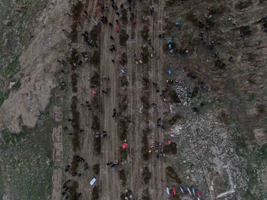 Bu Sefer Fidanlar Deprem Şehitleri İçin Dikildi