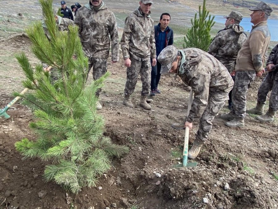 Bu Sefer Fidanlar Deprem Şehitleri İçin Dikildi