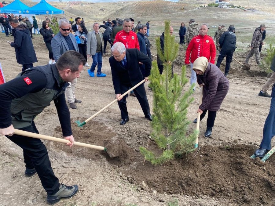 Bu Sefer Fidanlar Deprem Şehitleri İçin Dikildi