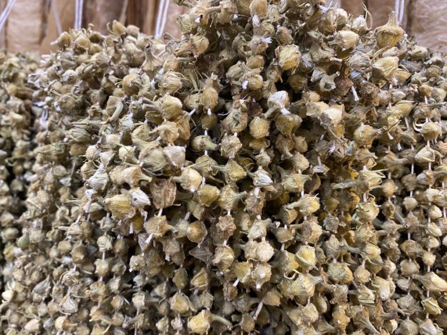 Ramazan’ın Yaklaşmasıyla Bamyaya İlgi Arttı