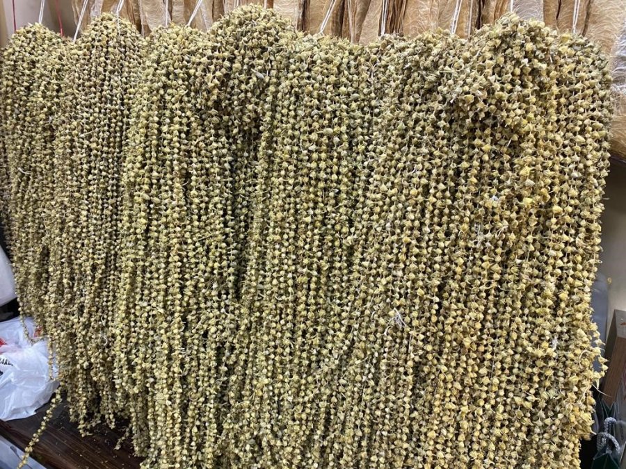 Ramazan’ın Yaklaşmasıyla Bamyaya İlgi Arttı