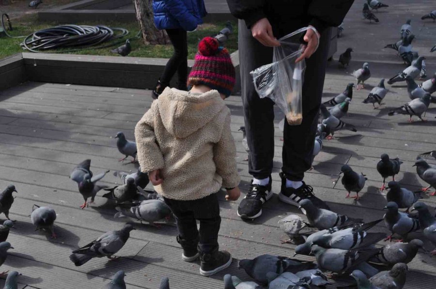 Hayvan Sevgisi Bu Yaşta Böyle Başlıyor