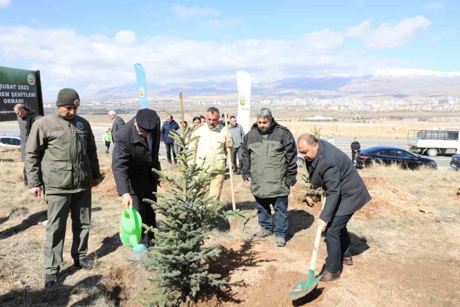 Depremzedeler İçin Orman Oluşturuldu
