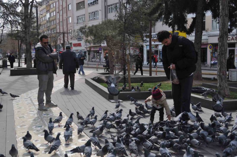 Hayvan Sevgisi Bu Yaşta Böyle Başlıyor