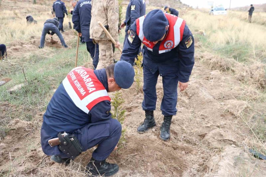 Depremde Hayatını Kaybedenler Aksaray’da Fidan Dikilerek Anıldı