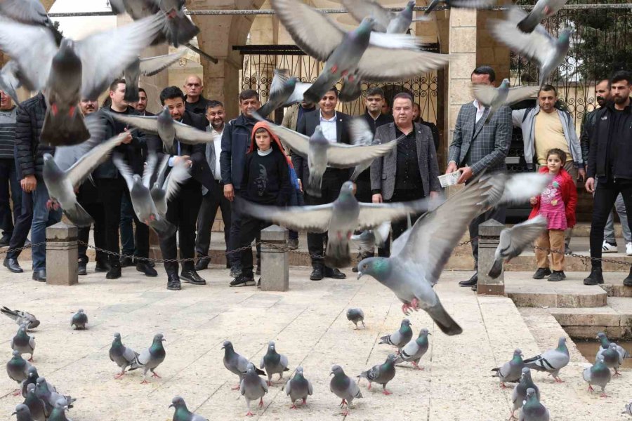 Böcek; “yaraları Birlikte Saracağız”