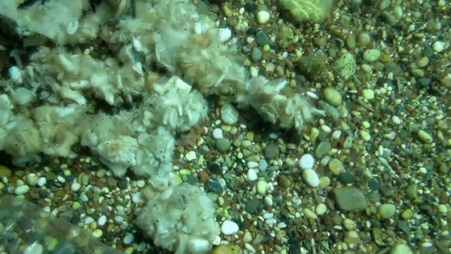 Konyaaltı’nda Denizin Dibinde Yakışmayan Görüntüler