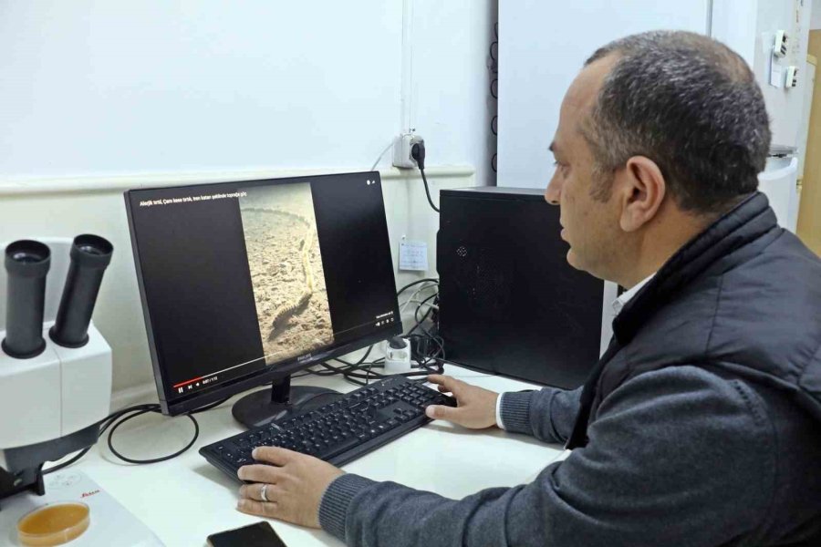 Evinin Bahçesindeki Tırtılları Süpürdü, Hastanelik Oldu