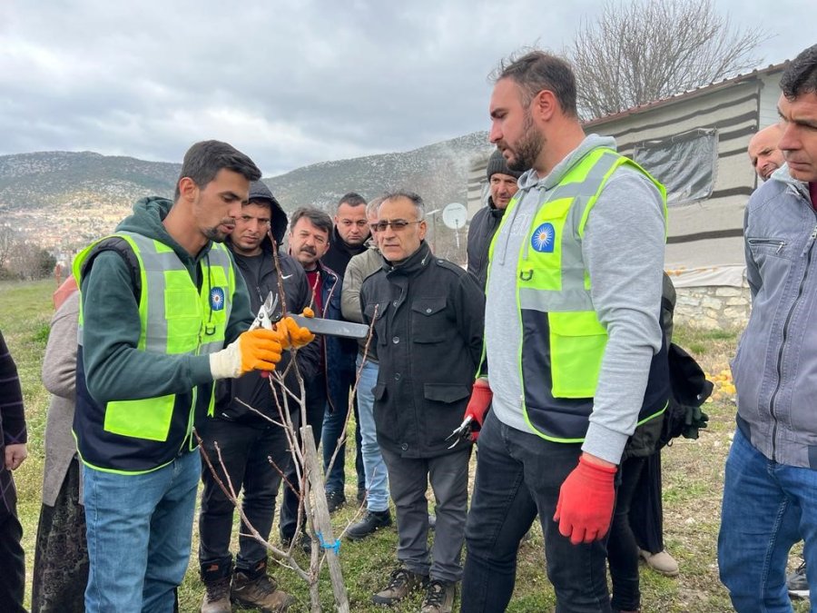 Akseki Ve Demre’de Budama Ve Aşılama Eğitimi Verildi