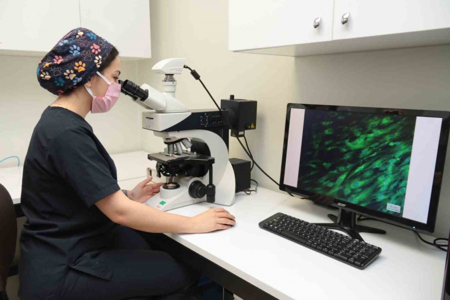 Bu Merkez Türkiye’de Tek