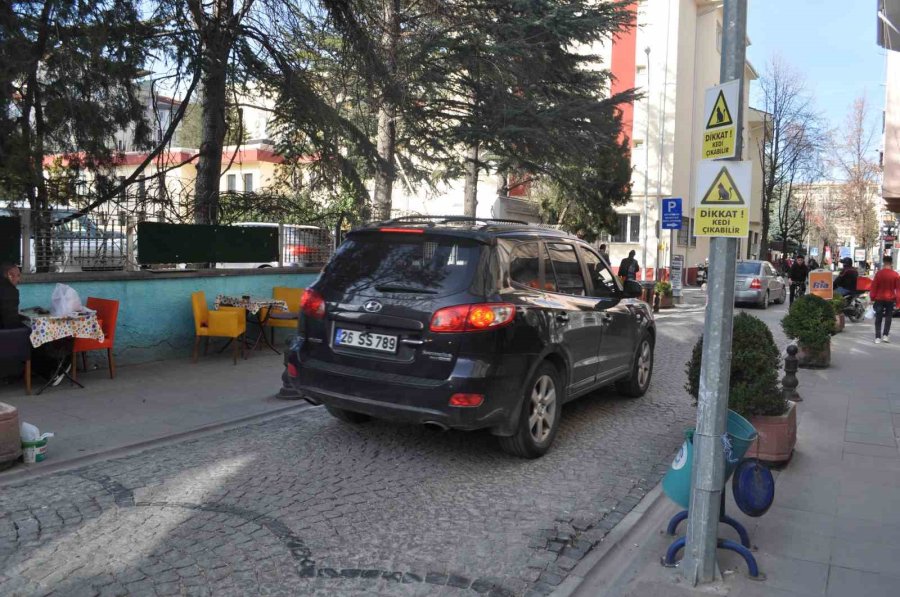 Hız Yapan Duyarsız Sürücüler İçin “dikkat Kedi Çıkabilir” Yazılı Önlem