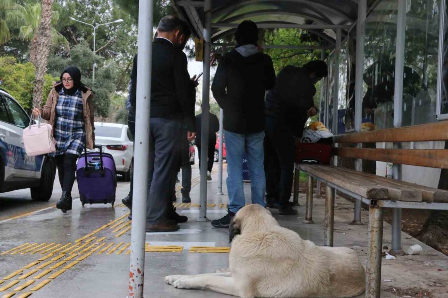Nijeryalı Vatandaşın Unuttuğu Valiz Polisi Alarma Geçirdi