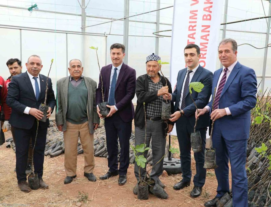“sarıcakaya’da İncir Yetişiyor” Projesi