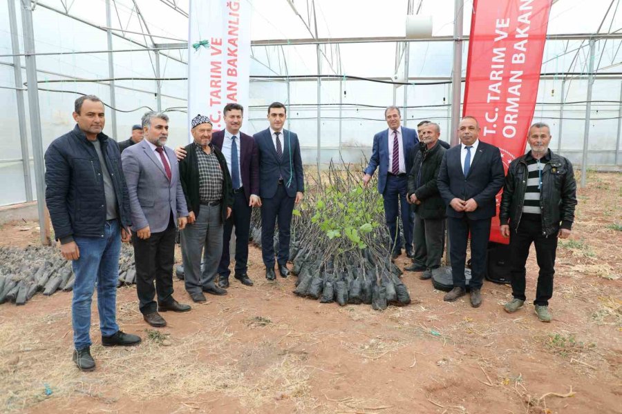 “sarıcakaya’da İncir Yetişiyor” Projesi