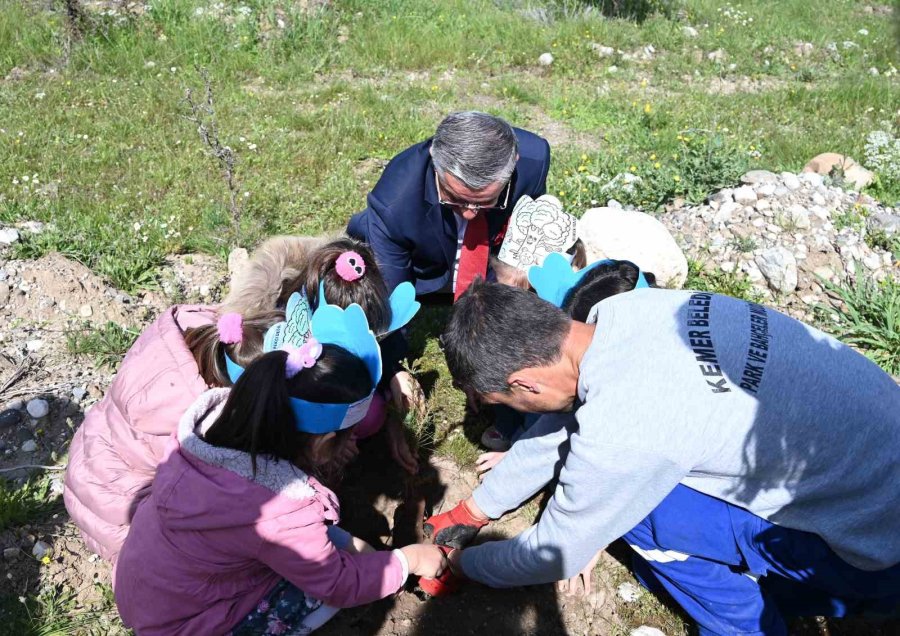 Kemer’de Minikler Fidanları Toprakla Buluşturdu
