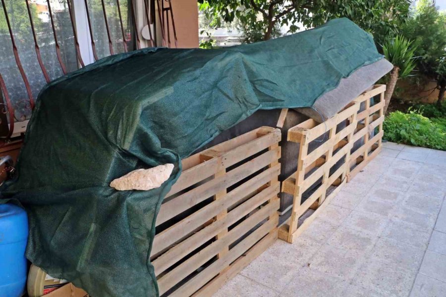 E-devlet’ten Gelen İhtarı Kontrol Etmedi, Ailesi Ve Eşyalarıyla Birlikte Evden Çıkartıldı